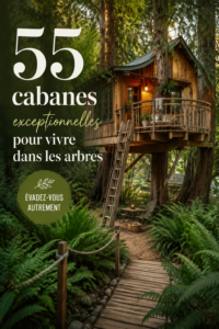 Cabanes en bois perchées dans les arbres offrant une vue apaisante sur la nature.