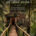 Une maison dans les arbres accueillante entourée de verdure à Washington