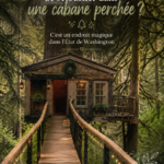Une maison dans les arbres accueillante entourée de verdure à Washington