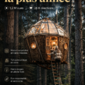 Maison dans les arbres avec un toit en verre panoramique, nichée dans la verdure