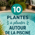 Jardin en bord de piscine avec diverses plantes tropicales