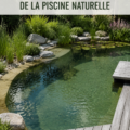 Piscine naturelle avec eau claire et plantes aquatiques