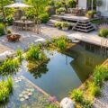 Un magnifique bassin naturel entouré de verdure dans un jardin