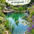 Un joli étang de baignade entouré de verdure dans un jardin