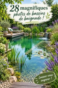Un joli étang de baignade entouré de verdure dans un jardin