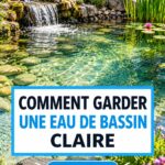 Un jardin avec un étang clair entouré de plantes aquatiques.