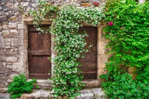 Verdalo chèvrefeuille en fleurs sur balcon et haie basse